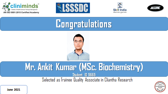 Cliniminds Placements